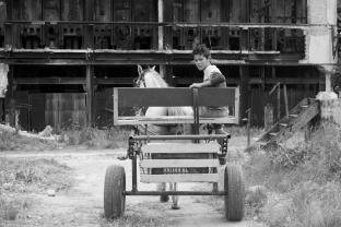 Hershey, Havanna, Junge mit Pferd in alter Fabrik